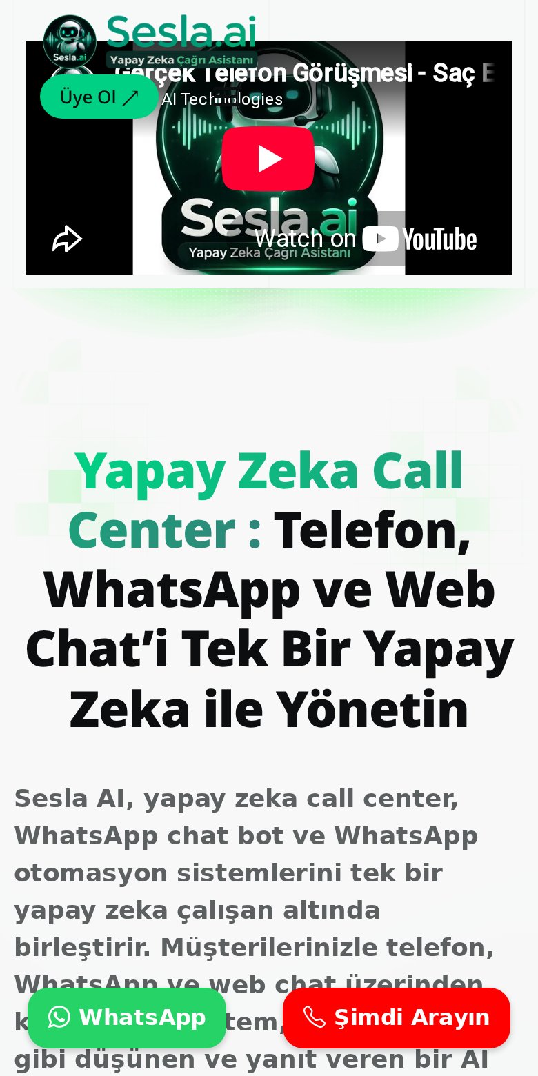 Sesla AI web sitesi ekran görüntüsü
